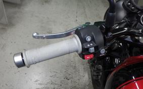 TRIUMPH SPEED TWIN 900 2024