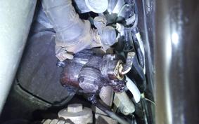 HONDA LITTLE CUB C50