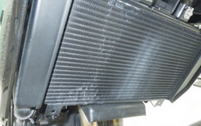 KAWASAKI Z250 Gen.2 2006 EX250P
