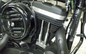 HARLEY XL883N 2017