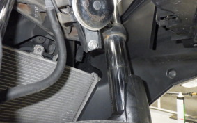 YAMAHA YZF-R25 2013 RG10J