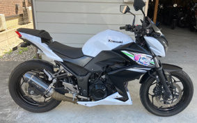 KAWASAKI Z250 ER250C