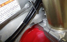 HONDA CRF250 RALLY