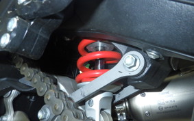 MV AGUSTA F3 800 RR 2024