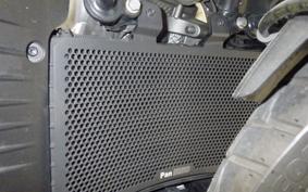 HARLEY ﾊﾟﾝ AMERICA1250S 2024