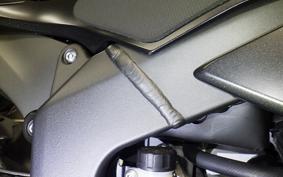 KAWASAKI NINJA ZX-6R A 2019 ZX636G
