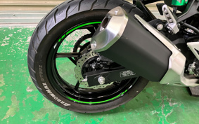 KAWASAKI Ninja 250 ABS EX250Y