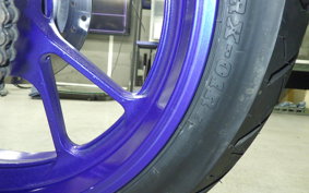 YAMAHA YZF-R15 1999 RG86J