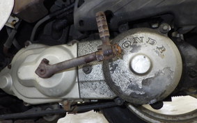 HONDA GIORNO 2024 AF24