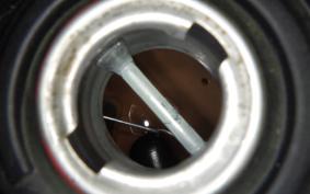 HONDA CT125 HUNTER CUB