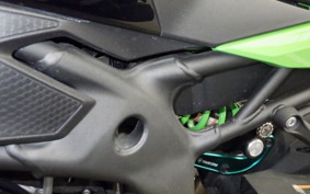 KAWASAKI ZX-4RR 2025 ZX400P