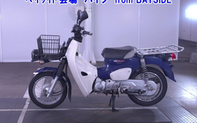 OTHER C110PU LOW 3