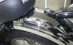 KAWASAKI W800 2024 EJ800E