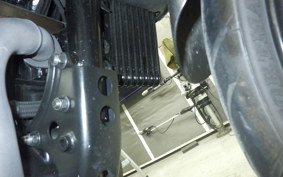 SUZUKI ｼﾞｸｻｰ250 2022 ED22B