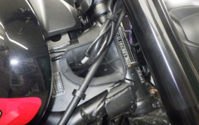 TRIUMPH TRIDENT 660 2025