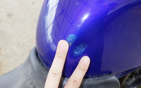 HONDA VTR 250 MC33