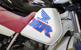 HONDA XLR250R Gen.4 2019 MD22