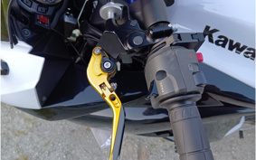 KAWASAKI NINJA 1000 ABS 2015 ZXT00G