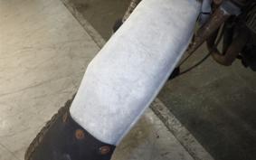 SUZUKI TS50 Hustler 2003 TS502