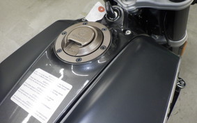 HUSQVARNA SVARTPILEN 401 2021