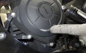 YAMAHA MT-25 2013 RG10J