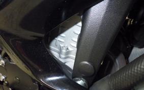 KAWASAKI NINJA ZX-6R A 2024 ZX636J
