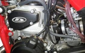 BETA クロス TRE ーナー250 2023