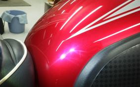 KAWASAKI W800 2022 EJ800E