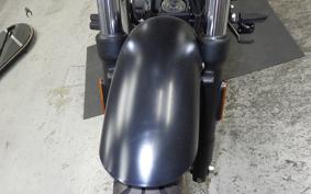 OTHER +ENFIELD ﾒﾃｵ350 2024