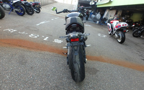 YAMAHA XSR900 2024 RN80J