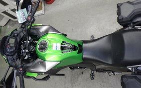 KAWASAKI VERSYS-X 250 A LE250D