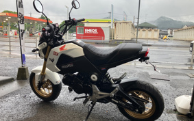 HONDA GROM JC61