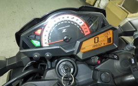 KAWASAKI Z250