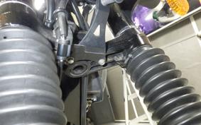 KAWASAKI W800-2ｽﾄﾘｰﾄ 2022 EJ800E