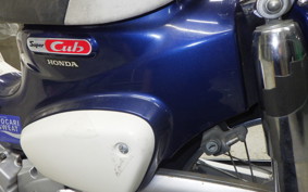 HONDA C50 SUPER CUB 2009 AA09