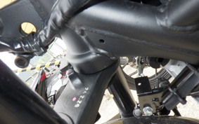 YAMAHA YZF-R25 A RG95J