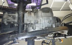 HONDA APE 50 2024 AC16