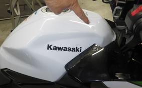 KAWASAKI Z400 Gen.2 2019 EX400G