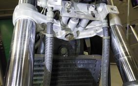 KAWASAKI ZEPHYR 550 2025 ZR550B