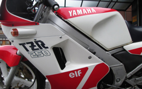 YAMAHA TZR250-1 1KT