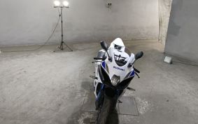 SUZUKI GSX-R1000R 2019 DM11G