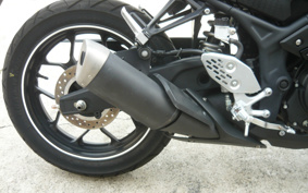 YAMAHA YZF-R25 RG43J