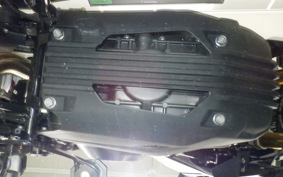 BMW G310GS 2024