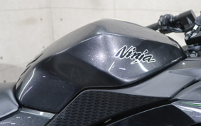 KAWASAKI NINJA 250 EX250L