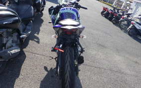 YAMAHA YZF-R25
