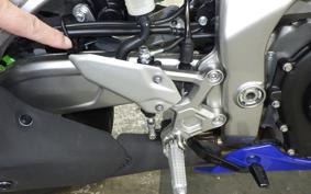 KAWASAKI ZX-4RR 2024 ZX400P