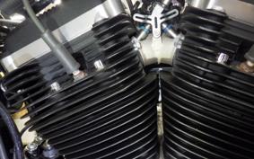 HARLEY XL883N 2021