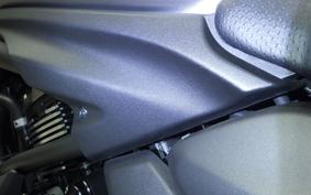 KAWASAKI VULCAN 650 SA 2024 EN650M