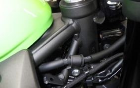 KAWASAKI ZX-4RR 2024 ZX400P