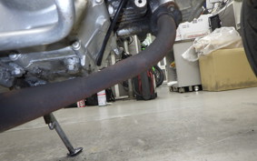 HONDA GORILLA 2021 Z50J